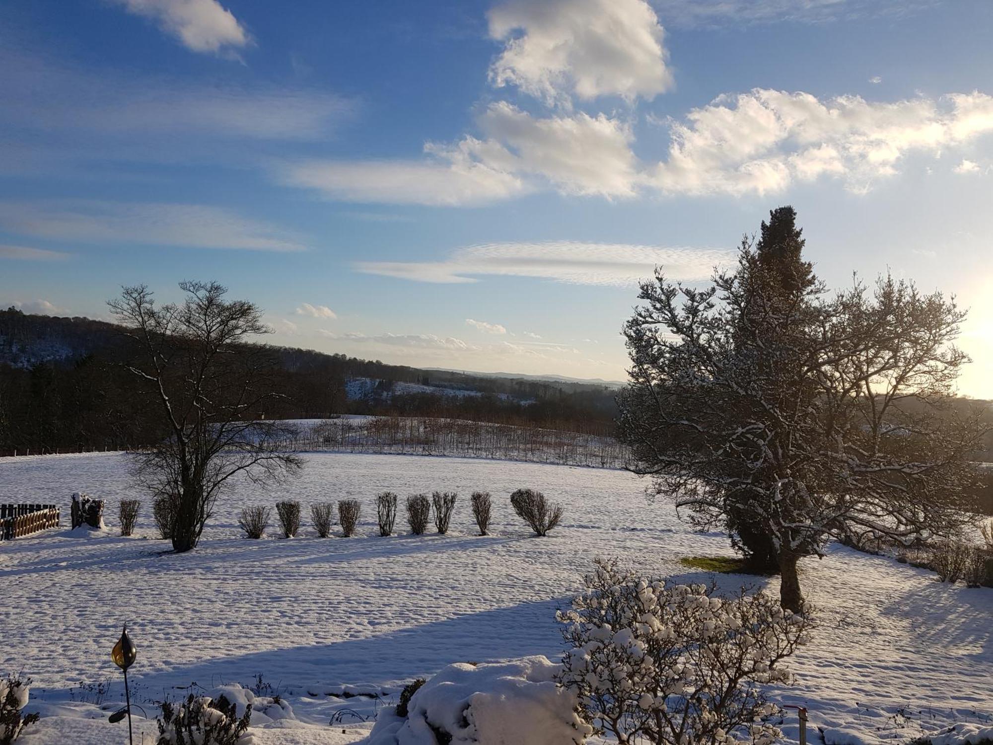 Fewo Panoramablick Apartment Winterscheiderbrol ภายนอก รูปภาพ